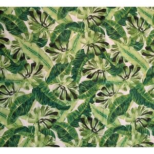 4 Yds Brother Sister Design Studio Quilting Fabric Green Tropical Leaf Botanical